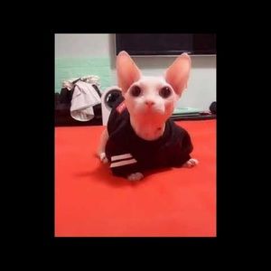 Meet your Posher, Colton